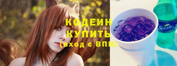 метадон Богданович