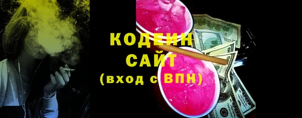 метадон Богданович