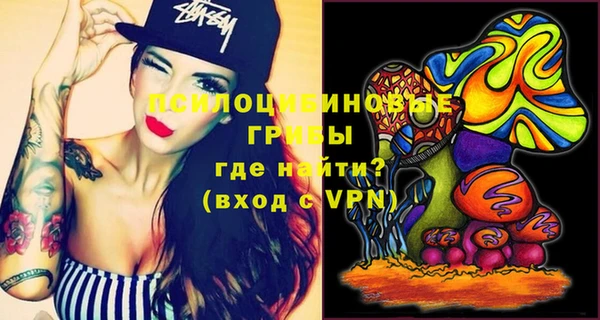 метадон Богданович