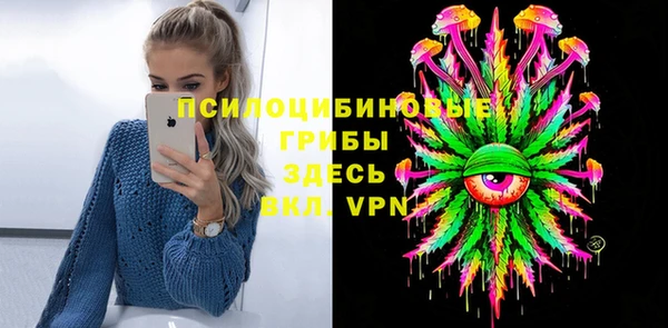 метадон Богданович