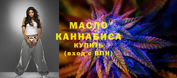 метадон Богданович