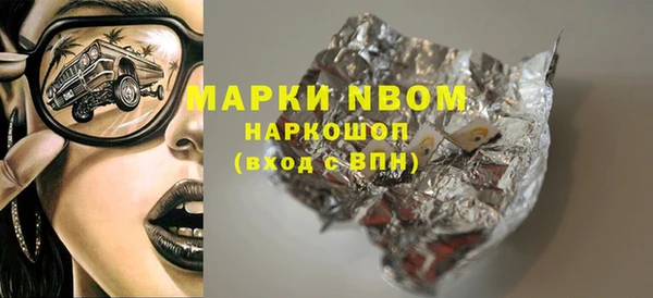 амф Бородино