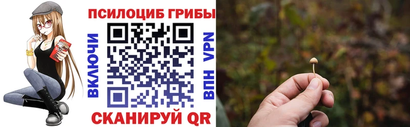Псилоцибиновые грибы мухоморы  Бронницы 